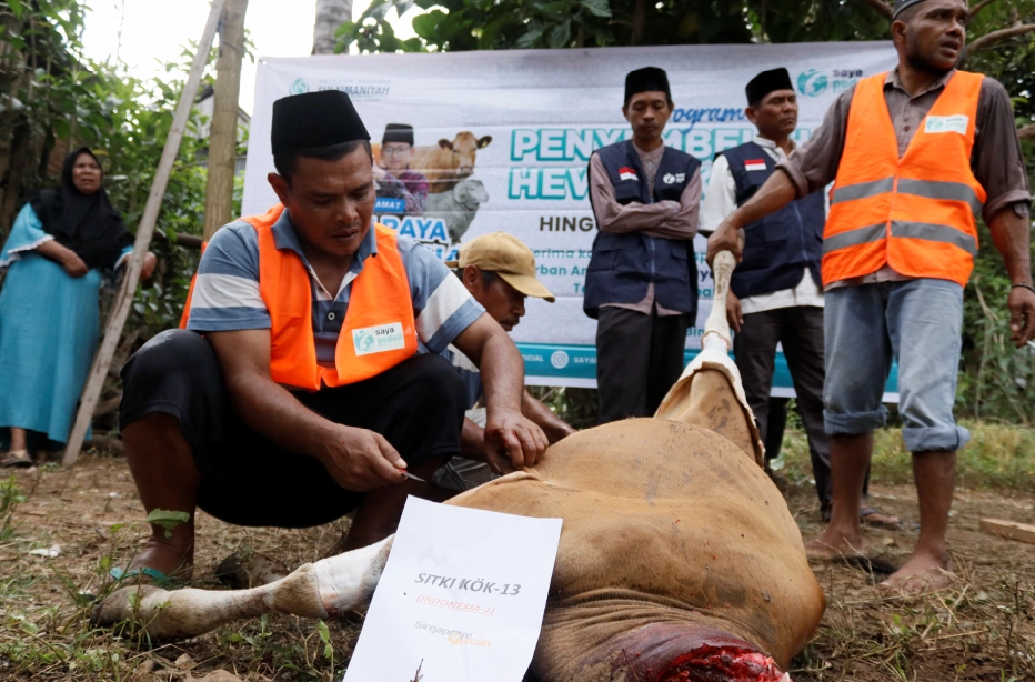 Foto 4 dari album Kurban Pelosok Bima 2025